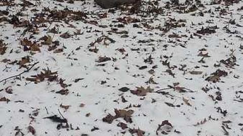 Old Cemetary - Old-Cemetery22.jpg