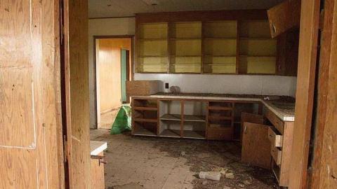 Green Eggs & Ham - Foo-Mar11.jpg