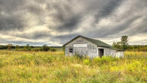 Green Eggs & Ham - Foo-Mar6.jpg