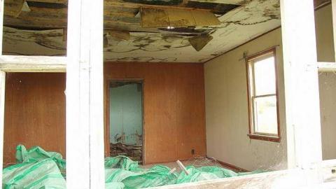 Green Eggs & Ham - Foo-Mar9.jpg