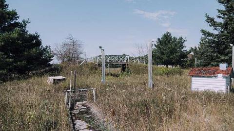 Havelock Mini Golf photo 2