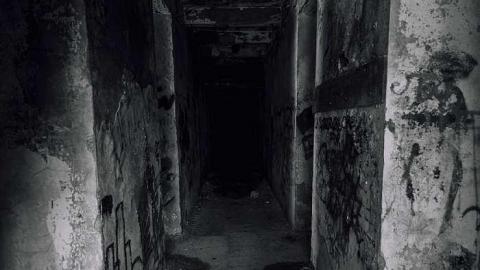 Summer 2016 - Barber-Paper-Mill--Georgetown721.jpg