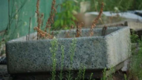 Rama Surplus - RAMA-Surplus10.jpg