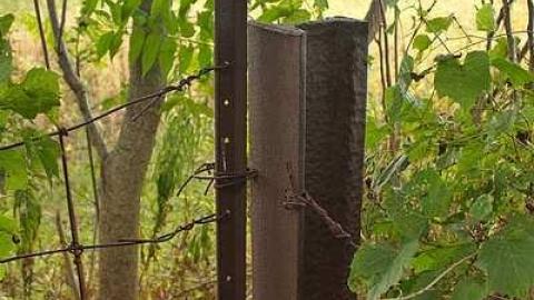 Forever Home - Lotan-pioneer-Cemetery19.jpg