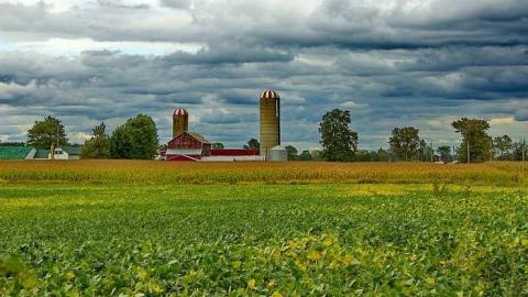Forever Home - Lotan-pioneer-Cemetery20.jpg