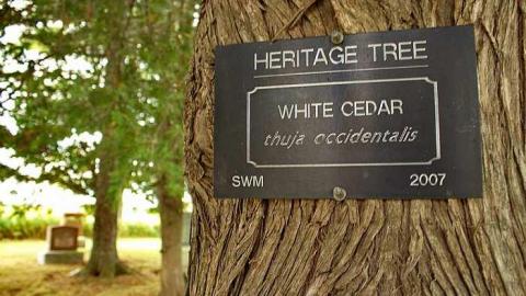 Forever Home - Lotan-pioneer-Cemetery22.jpg