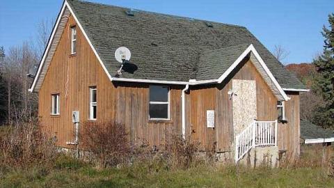 Ladybugs & Graffiti - Ladybugs-Lost1.jpg