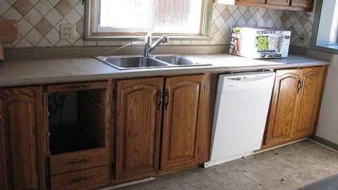 Ladybugs & Graffiti - Ladybugs-Lost5.jpg