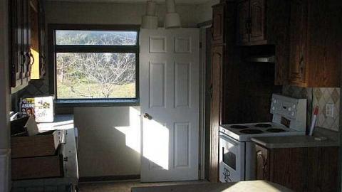 Ladybugs & Graffiti - Ladybugs-Lost19.jpg