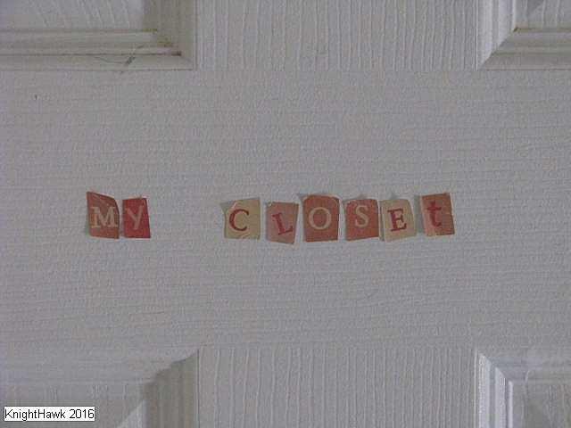 Ladybugs Lost photo 5