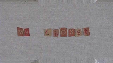 Ladybugs Lost photo 5