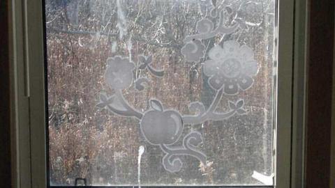 Ladybugs & Graffiti - Ladybugs-Lost9.jpg