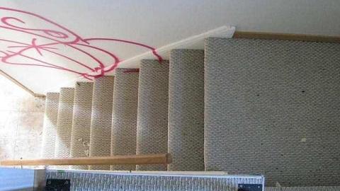 Ladybugs & Graffiti - Ladybugs-Lost10.jpg