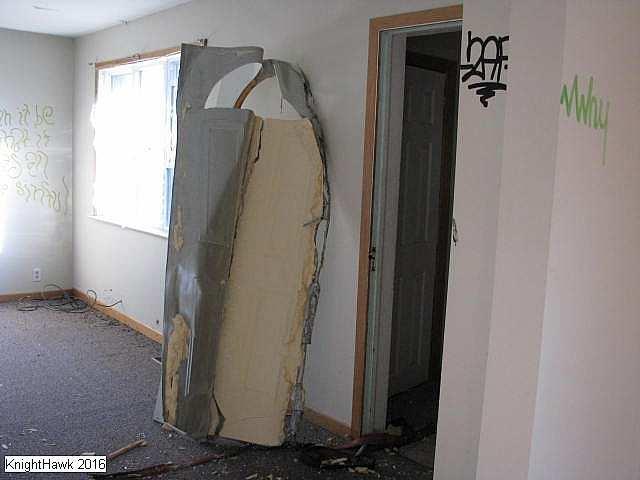 Ladybugs Lost - Clarington, Ontario