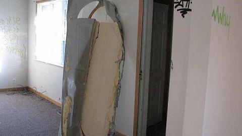 Ladybugs Lost - Clarington, Ontario