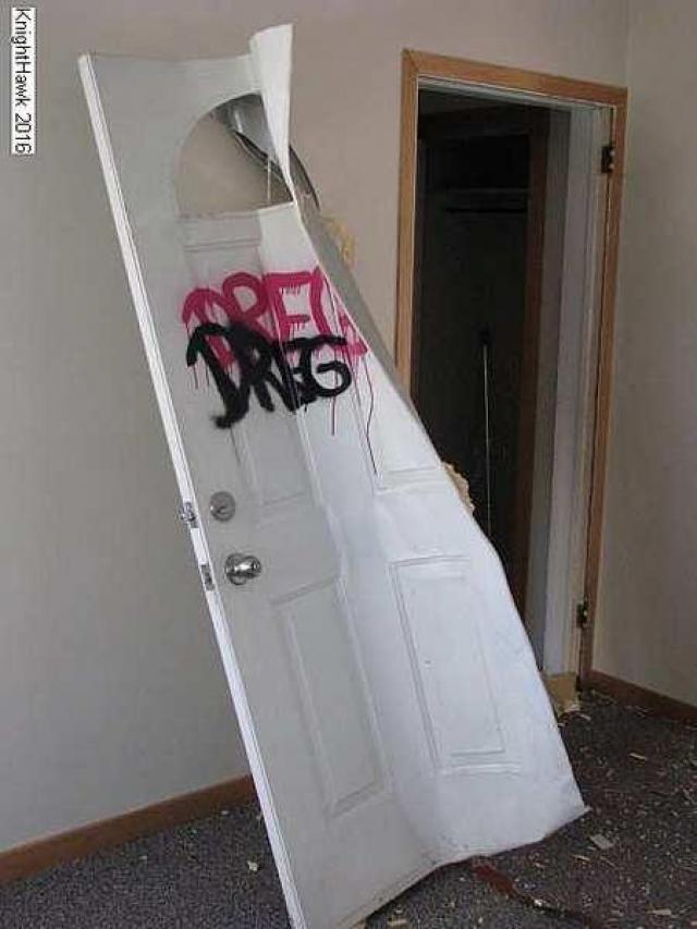 Ladybugs Lost photo 3