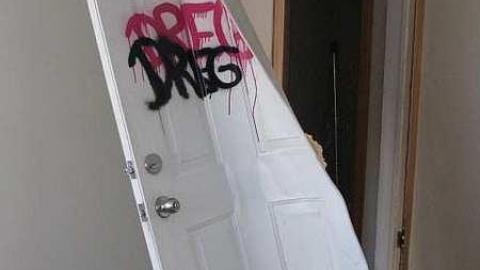 Ladybugs Lost photo 3