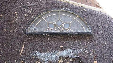 Ladybugs & Graffiti - Ladybugs-Lost25.jpg