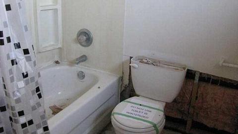 Ladybugs & Graffiti - Ladybugs-Lost12.jpg