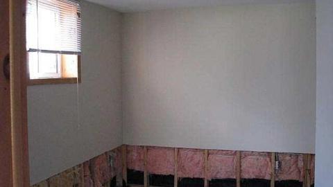 Ladybugs & Graffiti - Ladybugs-Lost13.jpg