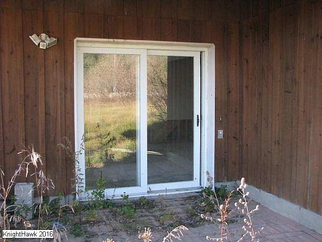 Ladybugs Lost photo 4