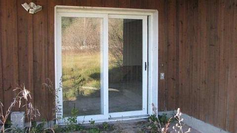 Ladybugs Lost photo 4