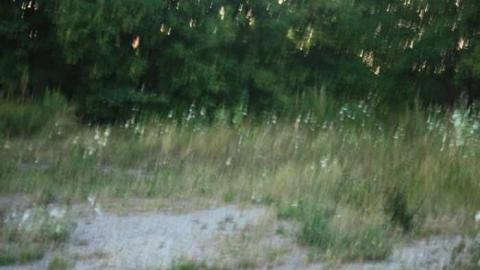 Rama Surplus - RAMA-Surplus20.jpg