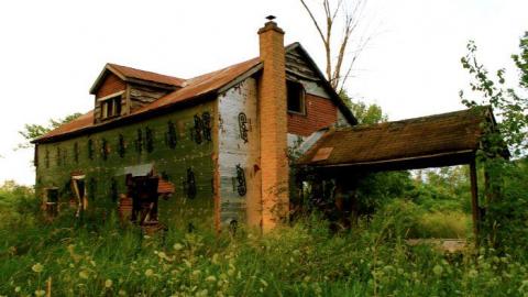 Gallery - IMG_1920.jpg