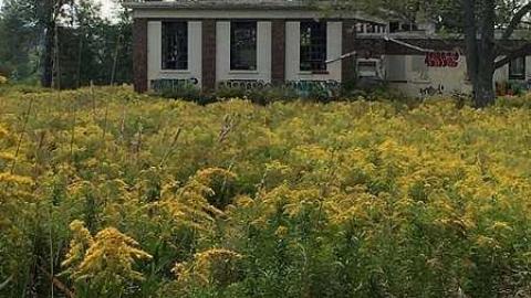 Camp 30 - Camp-30-Bowmanville1183.jpg