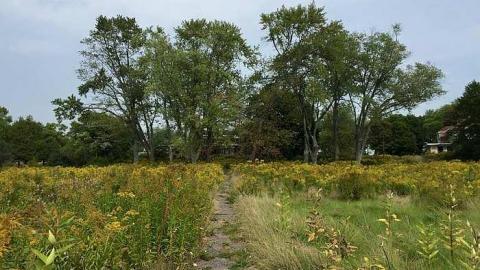 Camp 30 - Camp-30-Bowmanville1189.jpg