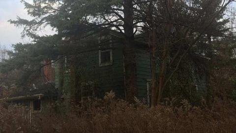 Overgrown Blue House - IMG_4910.jpg