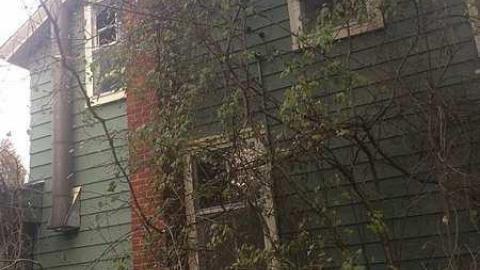 Overgrown Blue House - IMG_4919.jpg