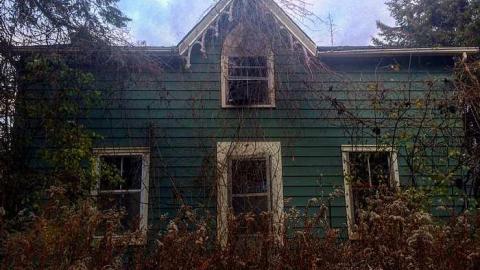 Overgrown Blue House - IMG_4982.jpg