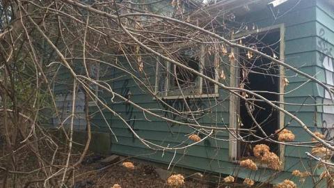 Overgrown Blue House - IMG_4968.jpg