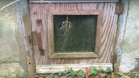 Overgrown Blue House - IMG_4969.jpg