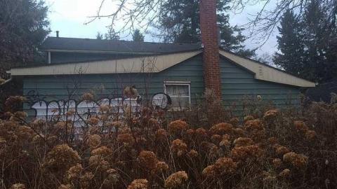 Overgrown Blue House - IMG_4971.jpg