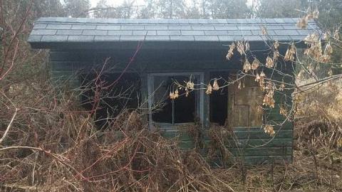 Overgrown Blue House - IMG_4978.jpg