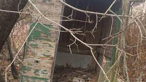 Overgrown Blue House - IMG_4979.jpg