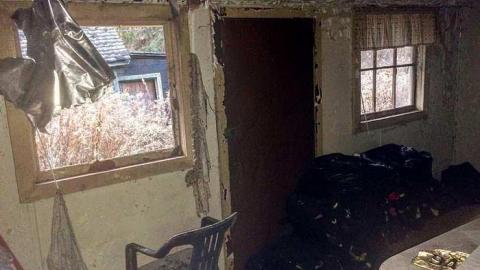 Overgrown Blue House - IMG_4983.jpg