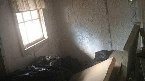 Overgrown Blue House - IMG_4933.jpg