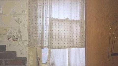 Overgrown Blue House - IMG_4935.jpg