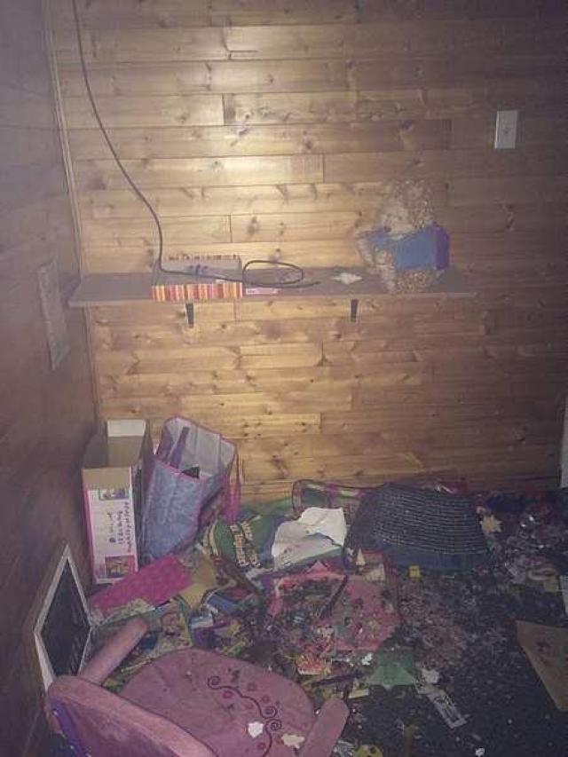 Overgrown Blue House photo 2