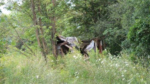 Gallery - IMG_1922.jpg