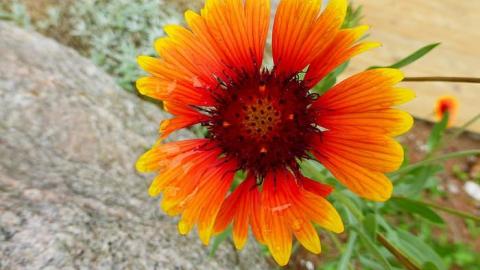 Photo from Meeting in Roseville