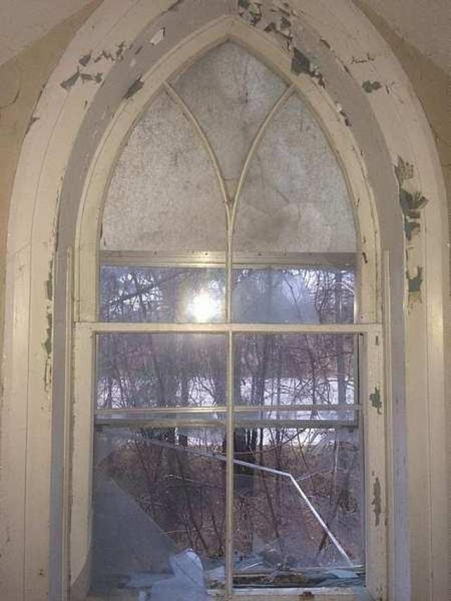 Overgrown Blue House photo 3