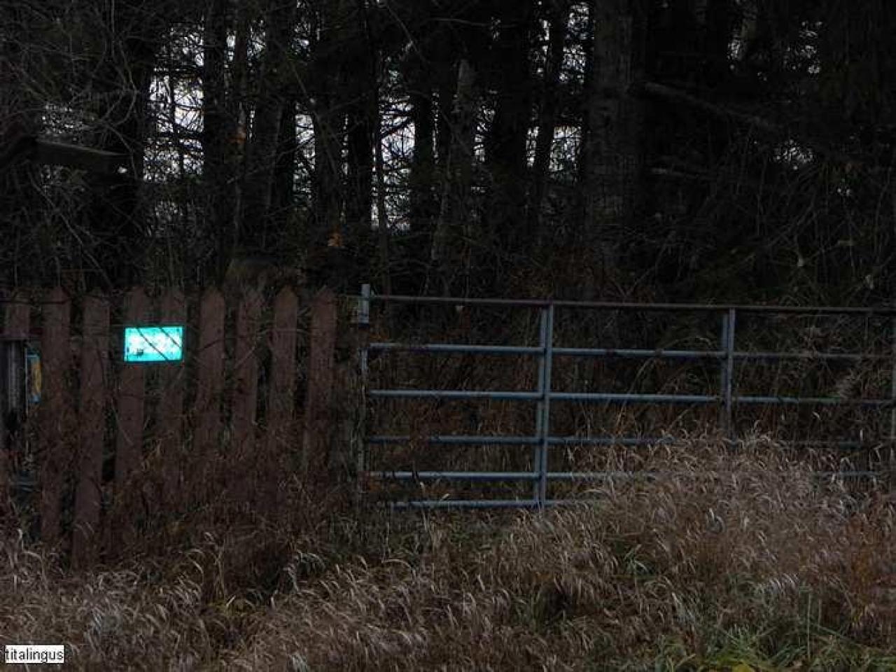 Sad chevy - SAM_0387.jpg