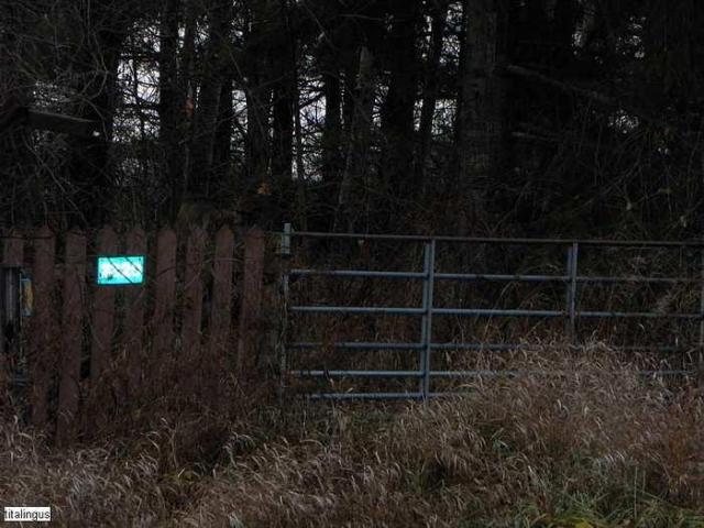 Sad chevy - SAM_0387.jpg