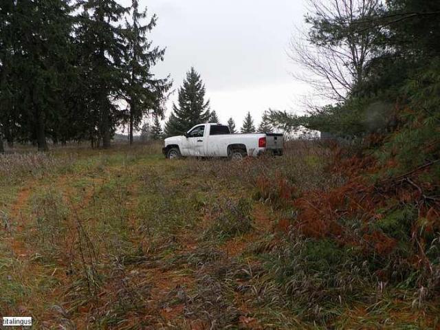 Sad chevy - SAM_0388.jpg