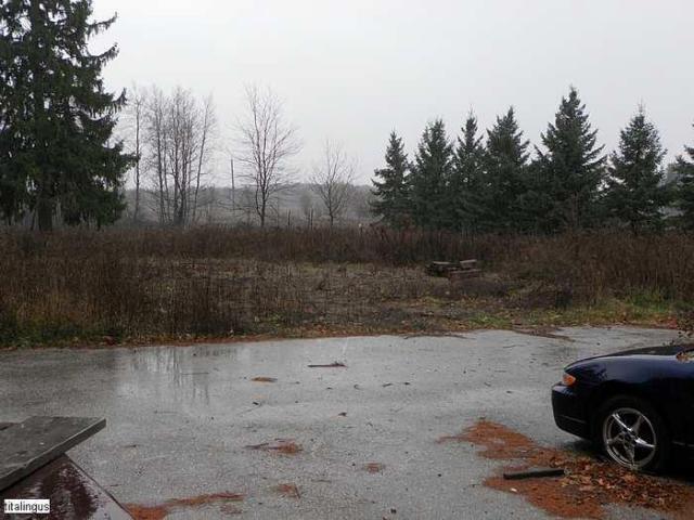 Sad chevy - SAM_0394.jpg