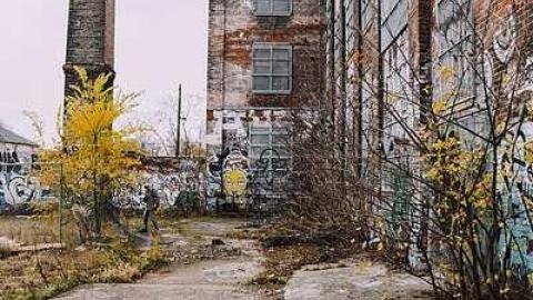 Linseed - Linseed-Factory568.jpg